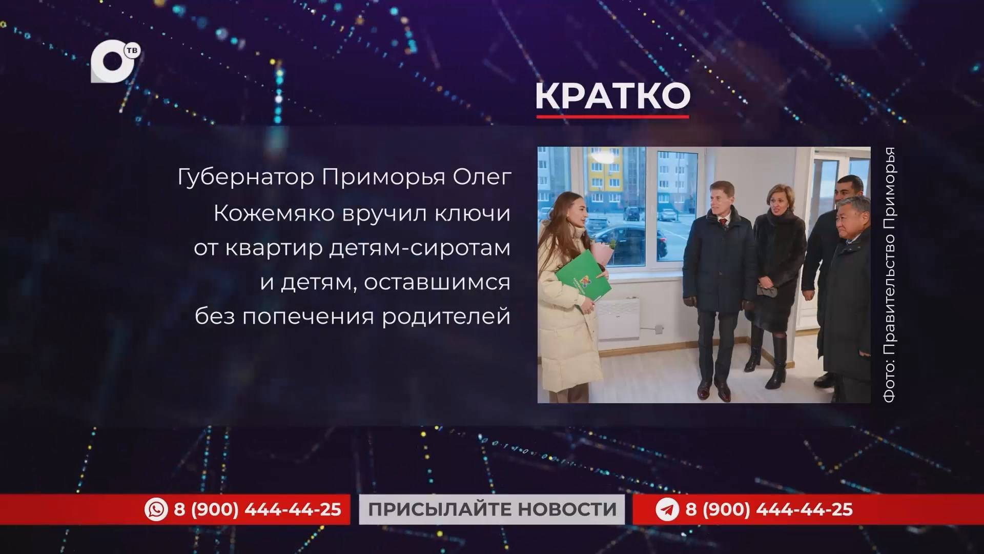 Кратко / 25.12.24 / Вечер