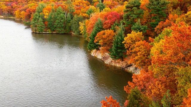 P.Tchaikovsky October. Autimn`s Song/П.И.Чайковский Октябрь Осенняя песнь