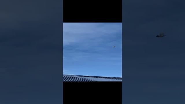 ИГРА СИЗОГО АЗИАТА АНСАРА#shortsvideo