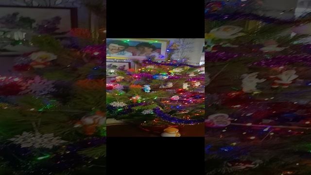VIDНовогодняя елочка!_20241224_090946