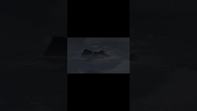 1000041598.mp4