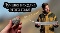 САМАЯ БОЛЬШАЯ кость ИХТИОЗАВРА - я искал ее пять лет! Поиск окаменелостей и ископаемых Мезозоя!