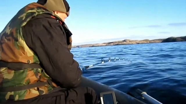 Кольский 2017 июнь. Рыбалка, косатки, треска и прочие морские жители.