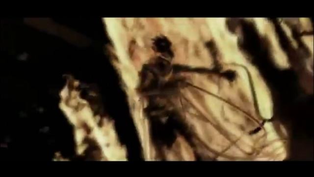IsekaSeisin - Темный странник