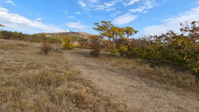 23 ч.  Жизнь в караване у моря.  Нудисты.  Wi-Fi антенна.