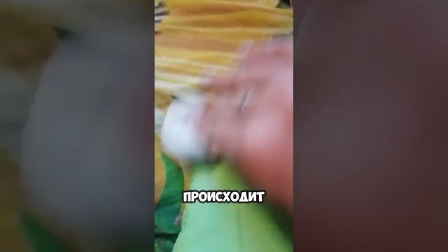 Для манжетов и воротничков