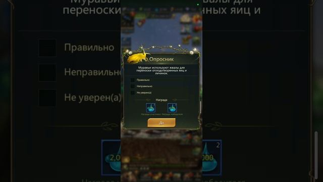 25.12.24 Ant Legion Опросник