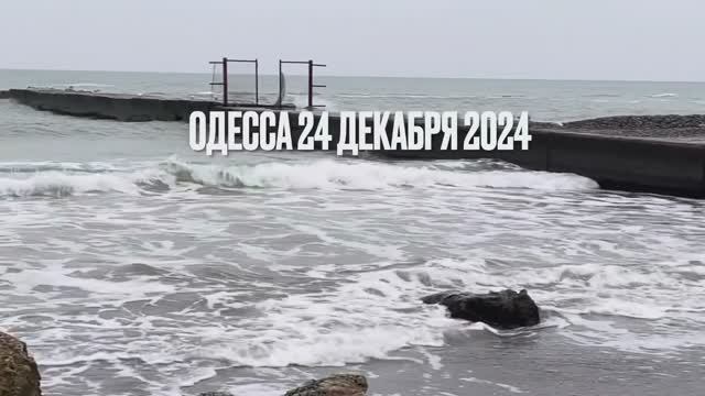 ОДЕССА 24 ДЕКАБРЯ 2024