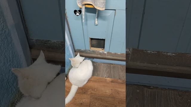 Умывалка