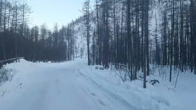 2022 год Зимник где то в Тайге. Двигаюсь на Юбилейный. Вся жизнь в дороге