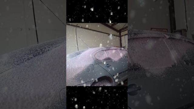 С Новым 2025 годом