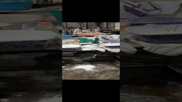 Моем птичек от мазуты