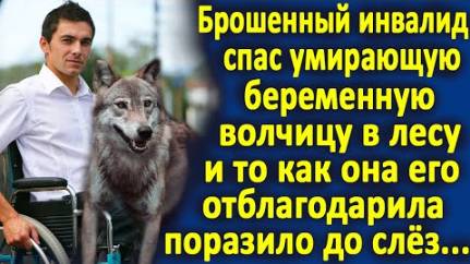 Парень спас беременную волчицу в лесу. И то, как она его отблагодарила, поразило до слёз...