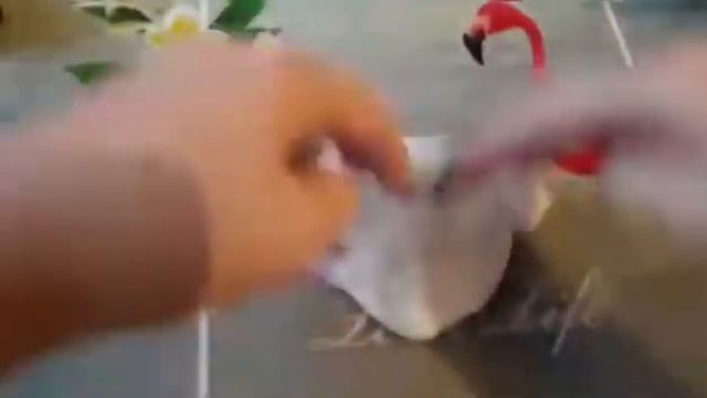 Делаю слайм с нак
ладными ногтями 😱😱😱