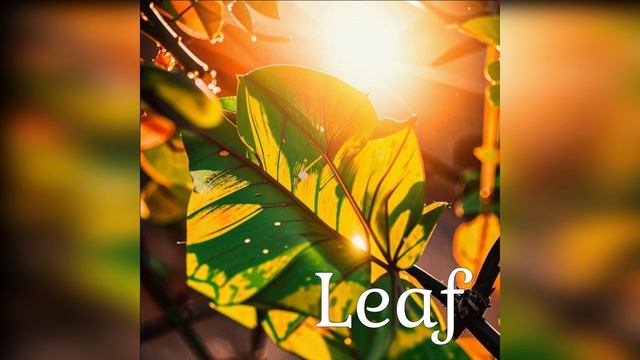 Leaf