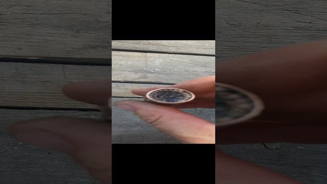 1000000388.mp4