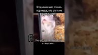 1000024958.mp4