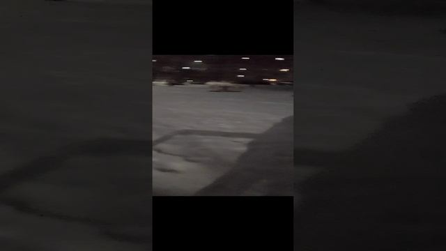 VID_20241225_164331.mp4