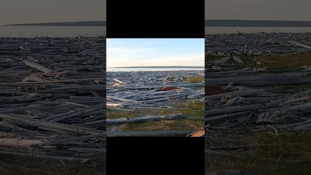 Сезон 15 серия 69 Бесконечные дрова