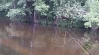 ДЕНЬ ЕЛЬЦА или вот такая рыбалка на голавля. Ловля рыбы на жуков. Красивая природа.