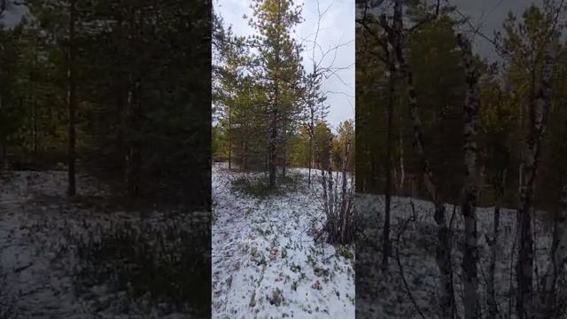 Возле избы на реке.mp4