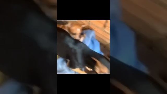 1000004868.mp4