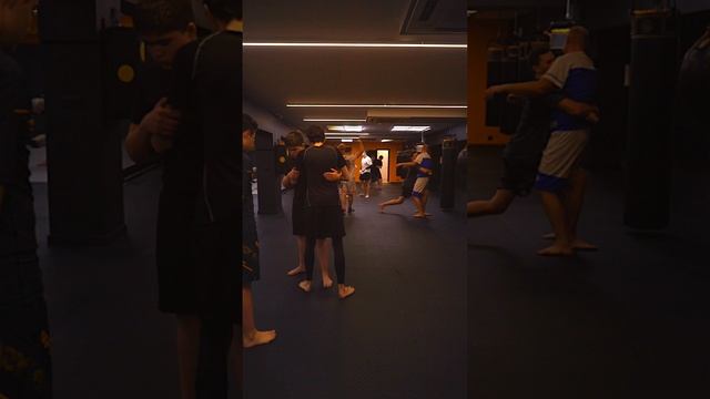 MMA взрослые
