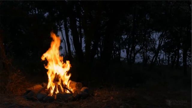 Самая жуткая страшилка про меня, мамку и вишнёвое варенье