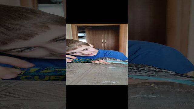 Новый член семьи - попугайчик Краш