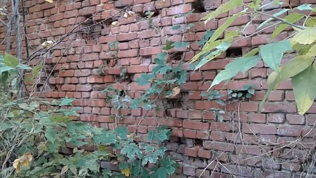 Красный кирпич в жилых и хозяйственных зданиях..mp4