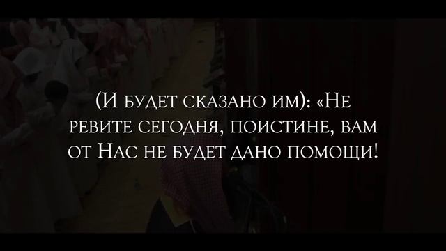 Мухаммад Аль Люхайдан. Сура «Муминун» Верующие