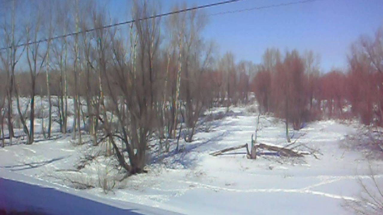 Электропоезд ЭД9М-0030. Покатушки от Развилки до Барнаула.