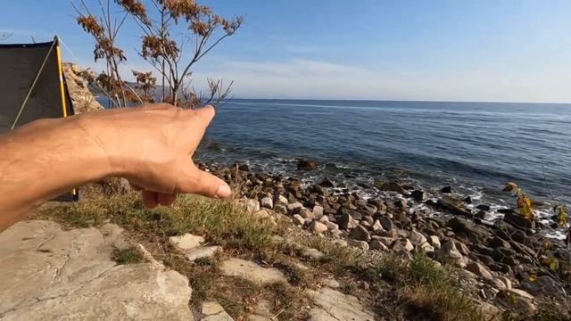 24 ч.  Жизнь в караване у моря.  Сколько стоит мне жизнь в караване в месяц. Дельфины.