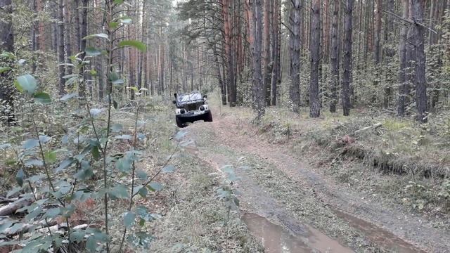 Дедушкин ГАЗ-69. Песчаный подъём, грязь и грибы.