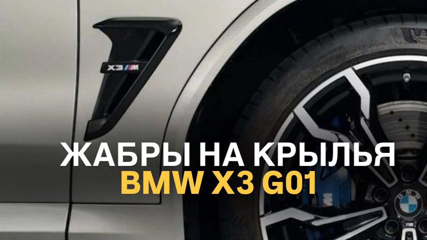 Жабры на крылья BMW X3 G01