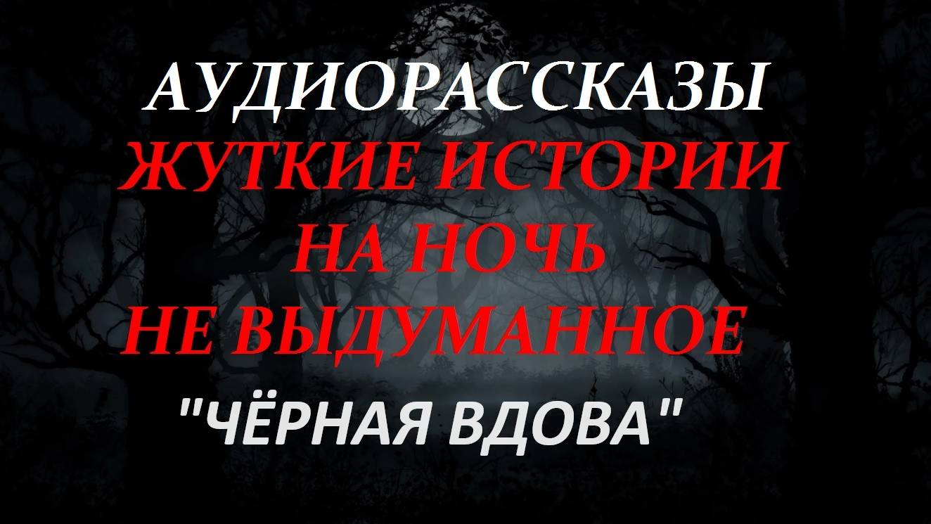 СТРАШНЫЕ РАССКАЗЫ НА НОЧЬ-"ЧЁРНАЯ ВДОВА"