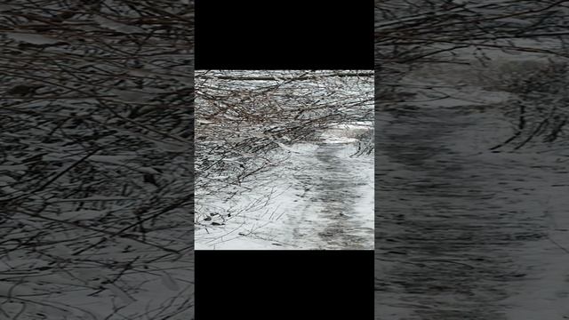 жизнь живет