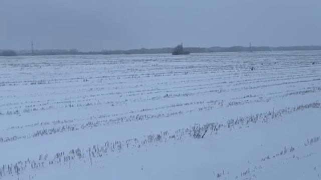 разведуем лисьи норы перед охотой