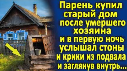 Парень купил старый дом и в первую же ночь, услышал странные звуки из подвала. Заглянув внутрь...