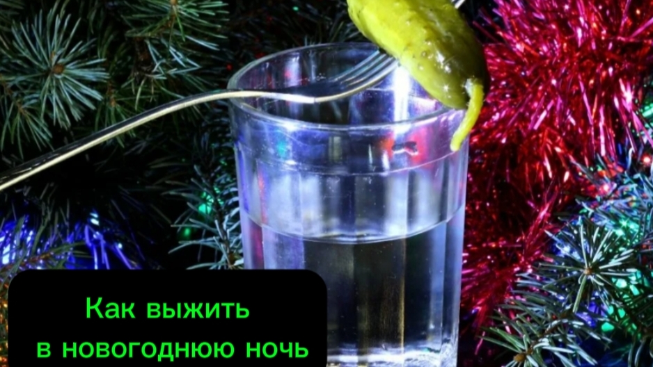 Как выжить в новогоднюю ночь