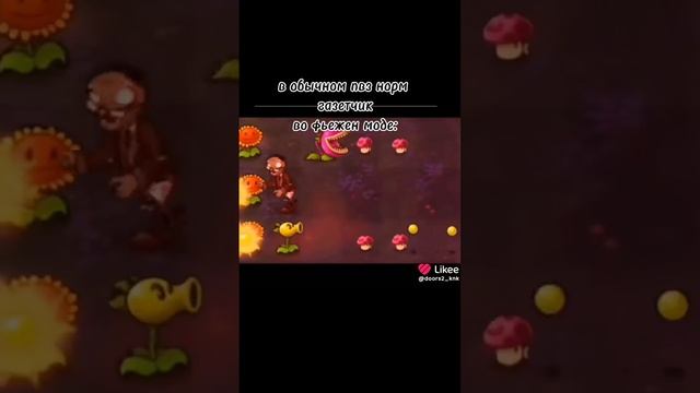 Like_7434846294757907468.mp4