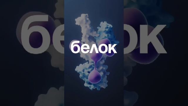 Всё про белок
