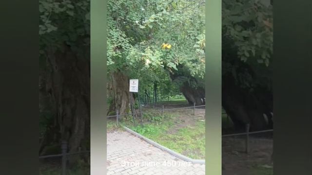 Калининград за 7 дней. Светлогорск Рамиль и Эльвира