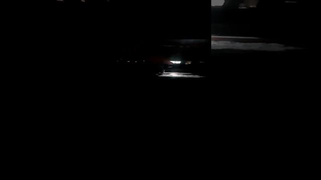 спасение кошки с крыши. Крым. Благотворительный фонд "Счастье в простом"