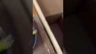 Катушка компрессора Bock