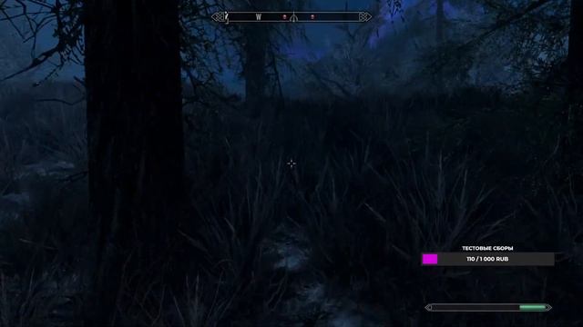 The Elder Scrolls V: Skyrim. ОДИННАДЦАТЫЙ ЗАПУСК. ПРИКОСНОВЕНИЕ К НЕБУ.
