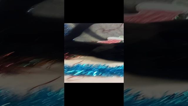 Новогодняя Котя