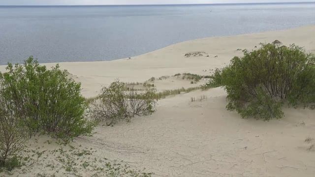 Куршская коса, Калининградская область