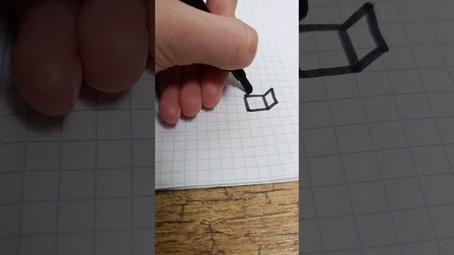 1000000212.mp4