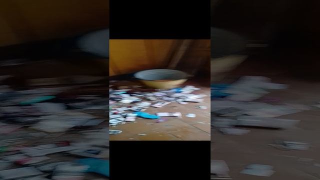 1000010262.mp4  Общественный туалет